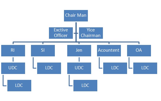 Organizational Chart